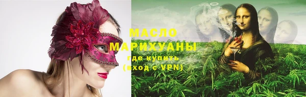 шишки Гусиноозёрск