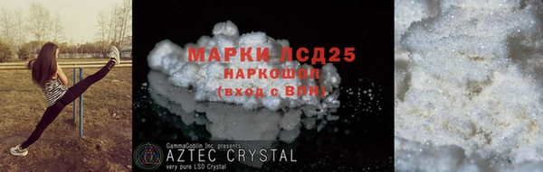 шишки Гусиноозёрск