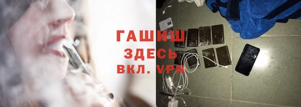 шишки Гусиноозёрск