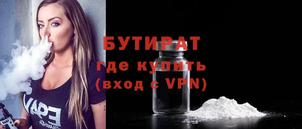 шишки Гусиноозёрск