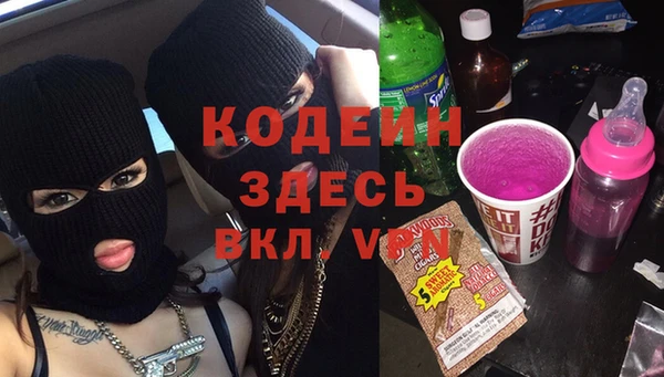 шишки Гусиноозёрск