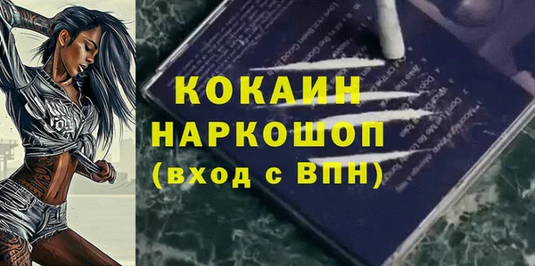 кокс Гусь-Хрустальный
