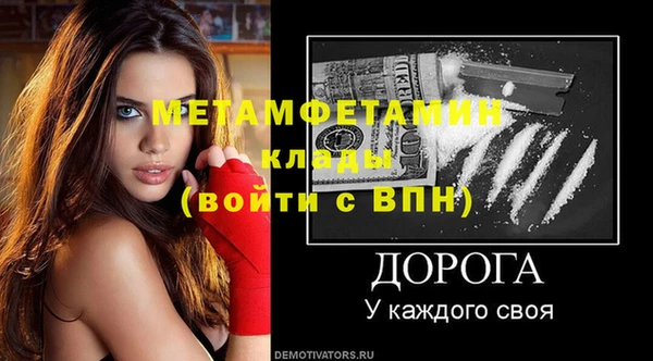 шишки Гусиноозёрск