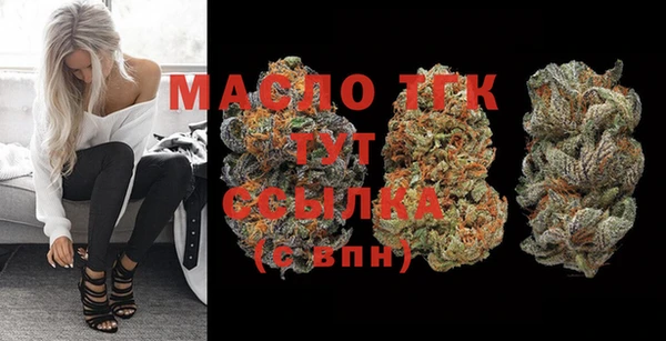 шишки Гусиноозёрск