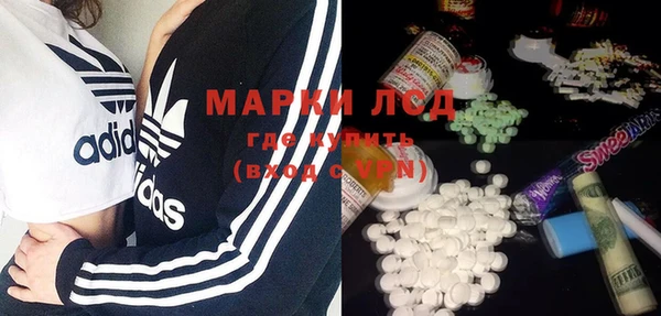 шишки Гусиноозёрск