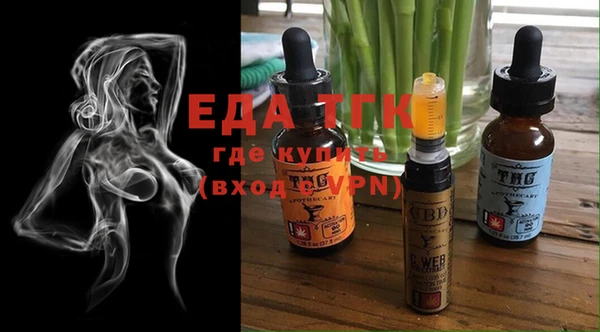 шишки Гусиноозёрск