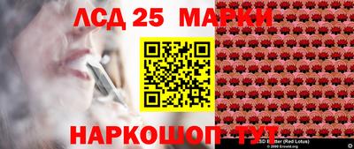гидра Гай