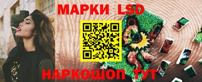 бошки Гатчина