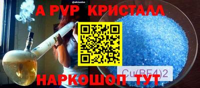 бошки Гатчина